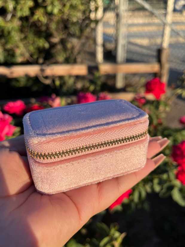 Mini Portable Jewlery Case