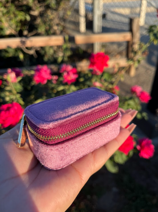 Mini Portable Jewlery Case