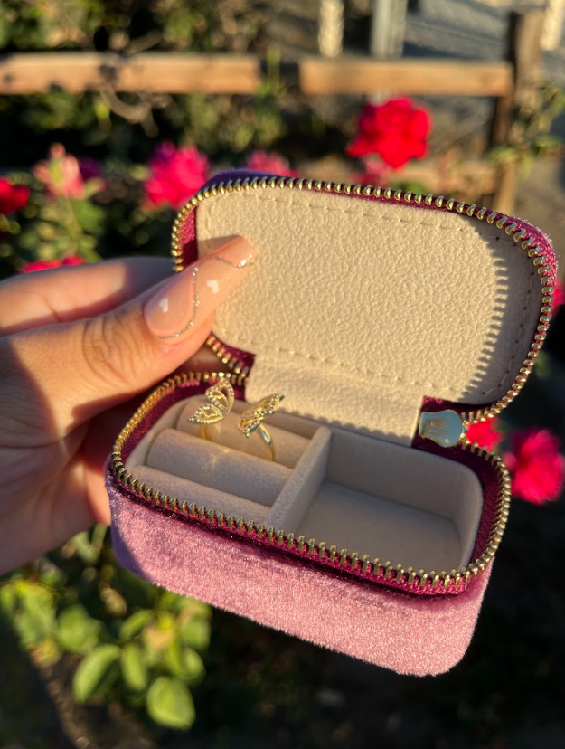 Mini Portable Jewlery Case